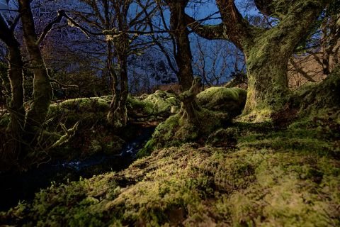 Fine art landscape Photography